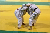 Judo Thiais 16-01-28 037   Photos ACG 2015