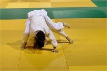 Judo Thiais 16-01-28 069   Photos ACG 2015