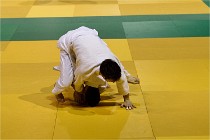Judo Thiais 16-01-28 070   Photos ACG 2015