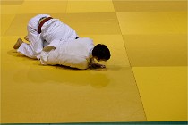 Judo Thiais 16-01-28 076   Photos ACG 2015
