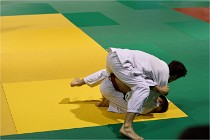 Judo Thiais 16-01-28 107   Photos ACG 2015