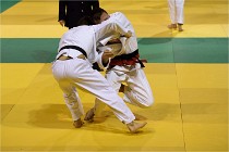 Judo Thiais 16-01-28 141   Photos ACG 2015