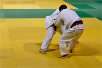 Judo Thiais 16-01-28 179   Photos ACG 2015