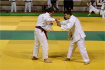 Judo Thiais 16-01-28 186   Photos ACG 2015