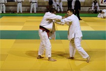 Judo Thiais 16-01-28 189   Photos ACG 2015