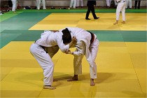 Judo Thiais 16-01-28 197   Photos ACG 2015