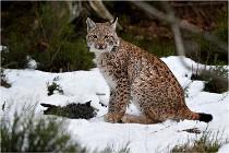 BWALD 16-02-09 1405   Photos ACG 2016