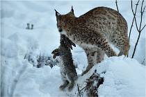 BWALD 16-02-12 2973   Photos ACG 2016