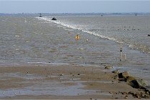 COMMEQ 16-02-27 85   Photo ACG 2015