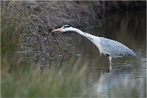 lE tEICH 16-03-21 0100   Photos ACG 2015