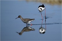 lE tEICH 16-03-24 1234   Photos ACG 2016