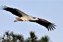 lE tEICH 16-03-24 1406   Photos ACG 2016