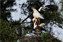 lE tEICH 16-03-24 1517   Photos ACG 2016