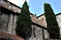 Michel 16-07-05 096   Photos ACG 2016