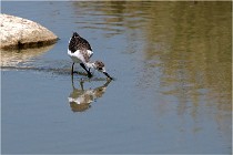 Michel 16-07-06 356   Photos ACG 2016