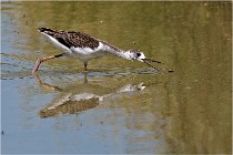 Michel 16-07-06 360   Photos ACG 2016