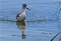 Michel 16-07-06 274   Photos ACG 2016