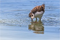 Michel 16-07-06 290   Photos ACG 2016