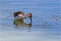 Michel 16-07-06 297   Photos ACG 2016