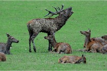 SteCroix 16-09-26 1885   Photos ACG 2016