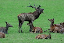 SteCroix 16-09-26 1886   Photos ACG 2016