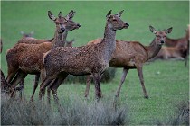 SteCroix 16-09-26 1901   Photos ACG 2016