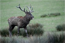 SteCroix 16-09-26 1905   Photos ACG 2016