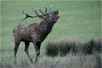 SteCroix 16-09-26 1908   Photos ACG 2016