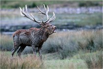 SteCroix 16-09-26 1923   Photos ACG 2016