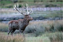 SteCroix 16-09-26 1926   Photos ACG 2016