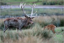 SteCroix 16-09-26 1928   Photos ACG 2016