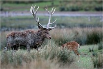 SteCroix 16-09-26 1929   Photos ACG 2016