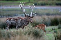 SteCroix 16-09-26 1930   Photos ACG 2016