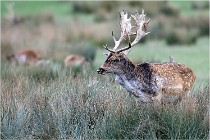 SteCroix 16-09-26 1938   Photos ACG 2016