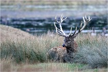 SteCroix 16-09-26 1972   Photos ACG 2016