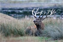 SteCroix 16-09-26 1974   Photos ACG 2016