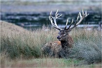 SteCroix 16-09-26 1976   Photos ACG 2016