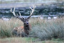 SteCroix 16-09-26 1978   Photos ACG 2016