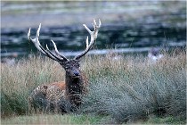 SteCroix 16-09-26 1980   Photos ACG 2016