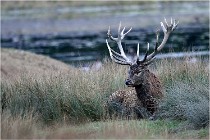 SteCroix 16-09-26 1982   Photos ACG 2016