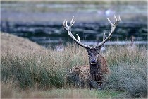 SteCroix 16-09-26 1984   Photos ACG 2016