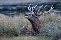 2016-09-26  30  Sainte Croix