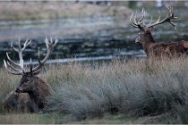 SteCroix 16-09-26 2001   Photos ACG 2016