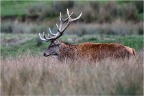 SteCroix 16-09-26 2007   Photos ACG 2016