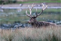 SteCroix 16-09-26 2012   Photos ACG 2016