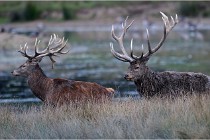 SteCroix 16-09-26 2016   Photos ACG 2016