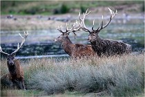 SteCroix 16-09-26 2018   Photos ACG 2016