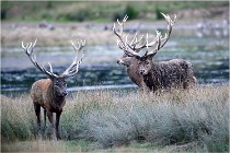 SteCroix 16-09-26 2021   Photos ACG 2016