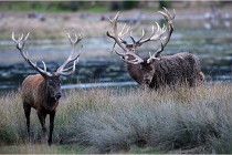 SteCroix 16-09-26 2022   Photos ACG 2016