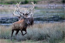 SteCroix 16-09-26 2024   Photos ACG 2016